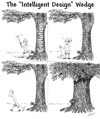 On Intelligent Design